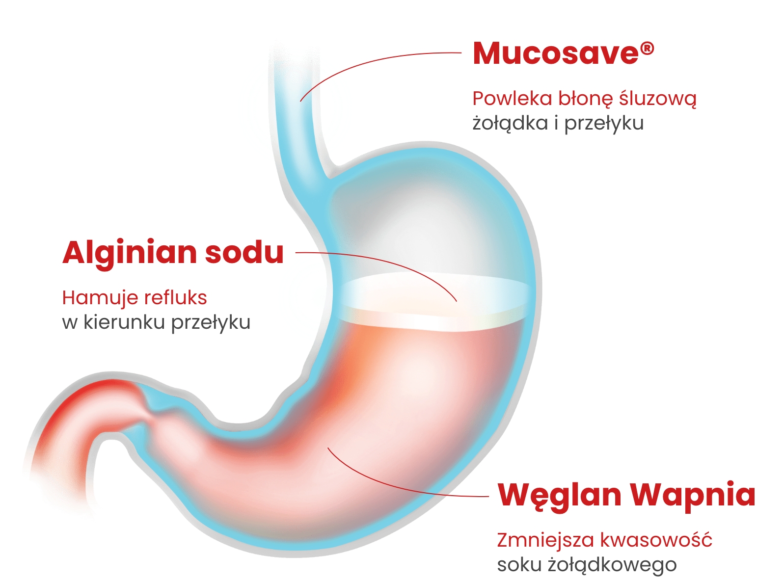 Alugastrin 3 Forte 14 3 forte